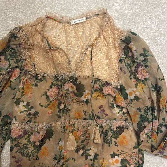 Alice and Olivia Floral Sheer Dress with Lace Details (size Medium) - Picture 7 of 10